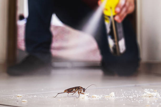 Pest Control for Restaurants in Powderly, TX